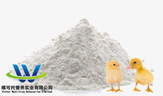 Πιστοποιημένο από την QS L-Lysine Hydrochloride 98,5% πρόσθετη ύλη ζωοτροφών για την αποτελεσματικότητα των ζωοτροφών