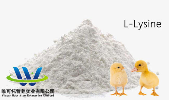Τρόφιμο HCl Sulfate L Lysine 98,5% 70% Τρόφιμο πρόσθετης ουσίας Τρόφιμο πρόσθετης ουσίας